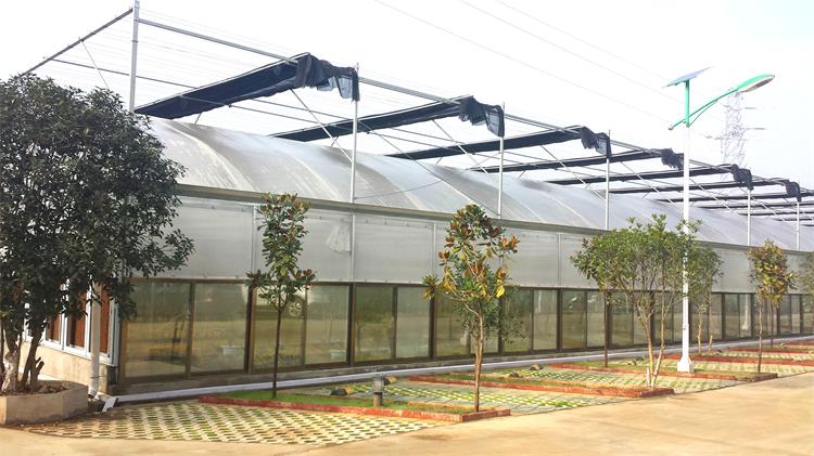 連棟薄膜溫室建設